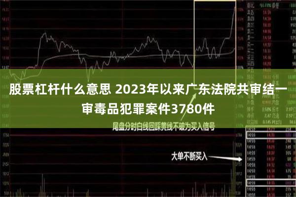 股票杠杆什么意思 2023年以来广东法院共审结一审毒品犯罪案件3780件