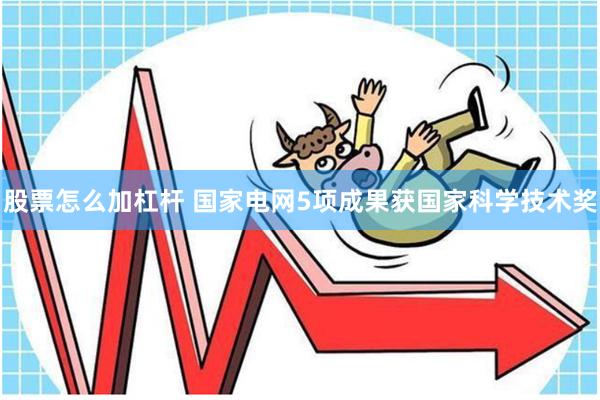 股票怎么加杠杆 国家电网5项成果获国家科学技术奖