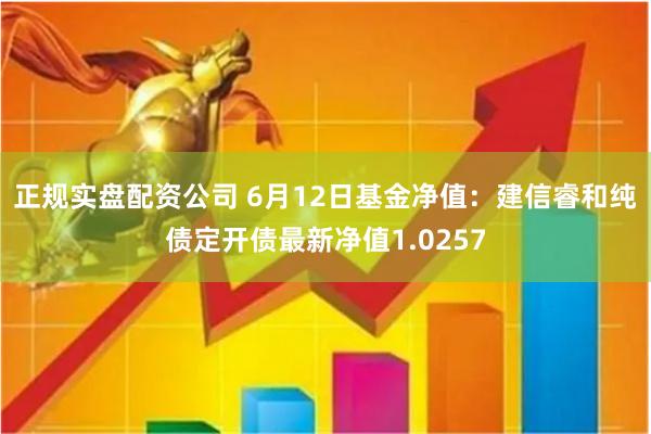 正规实盘配资公司 6月12日基金净值：建信睿和纯债定开债最新净值1.0257