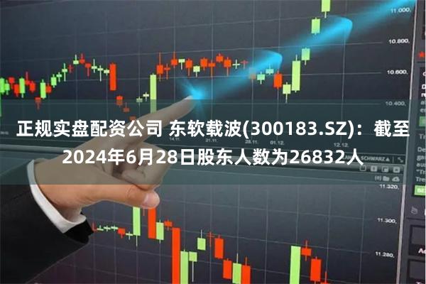 正规实盘配资公司 东软载波(300183.SZ)：截至2024年6月28日股东人数为26832人