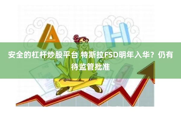 安全的杠杆炒股平台 特斯拉FSD明年入华？仍有待监管批准