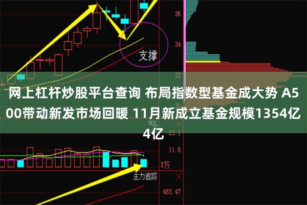 网上杠杆炒股平台查询 布局指数型基金成大势 A500带动新发市场回暖 11月新成立基金规模1354亿