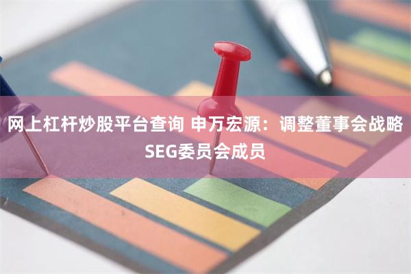 网上杠杆炒股平台查询 申万宏源：调整董事会战略SEG委员会成